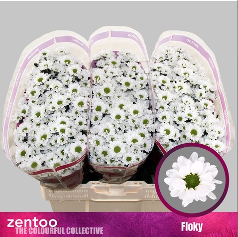 Santini Floky 1000gr "T25" Bl.