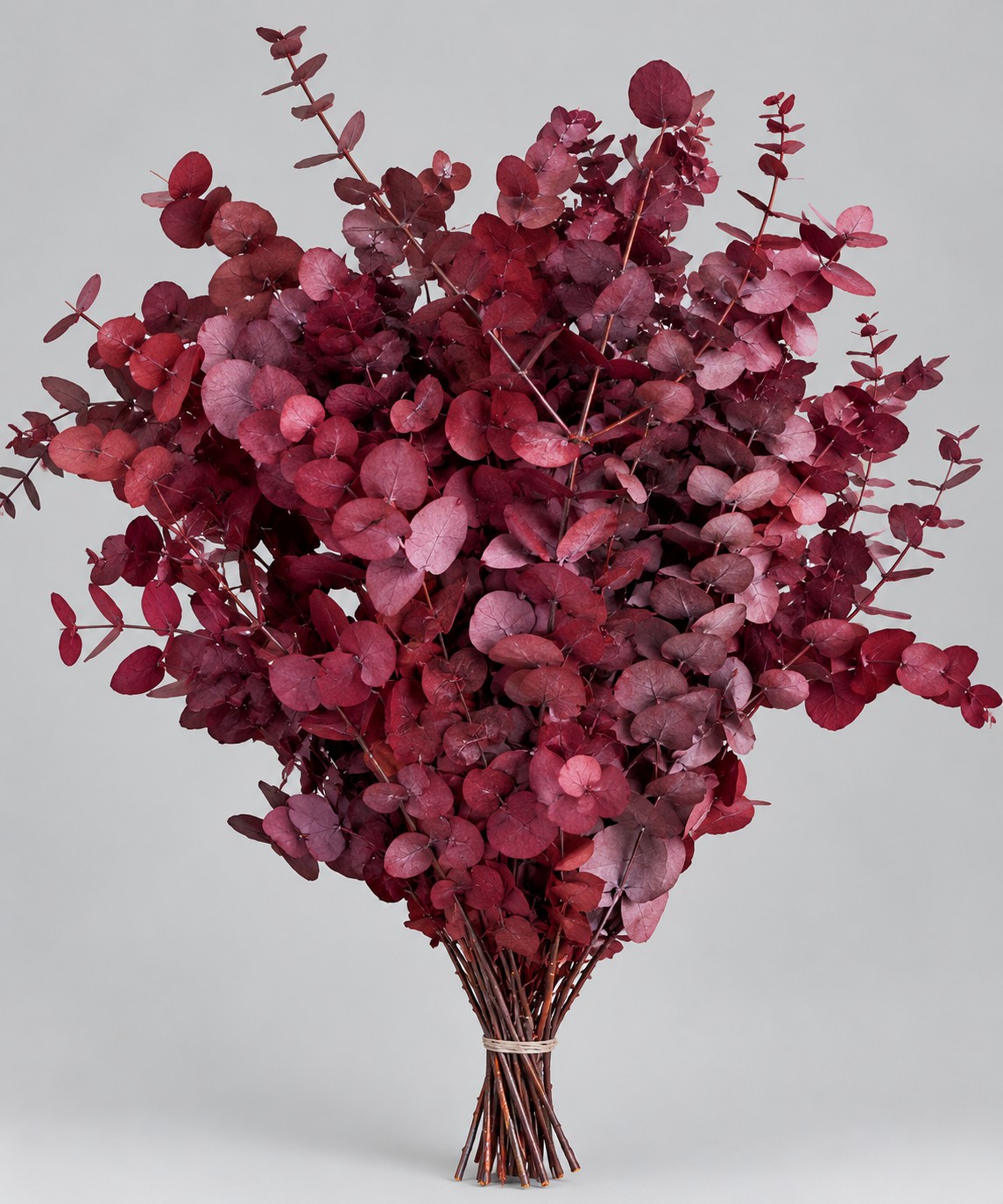 Eucalipto Estabilizado Polisehd Burgundy 70cm 140g "T5"
