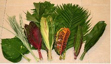 Hojas Tropicales Bolsa