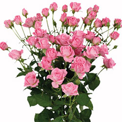 Ramificada Nathalie 60cm