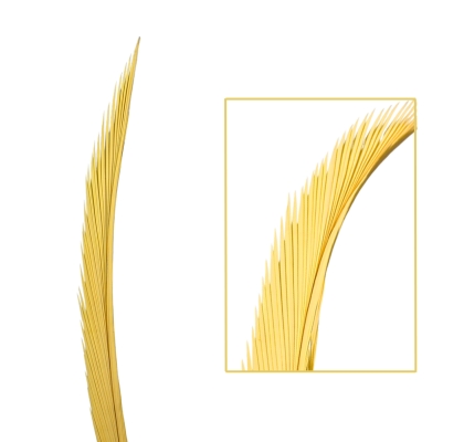 Palma Lisa Princesa 200/300cm