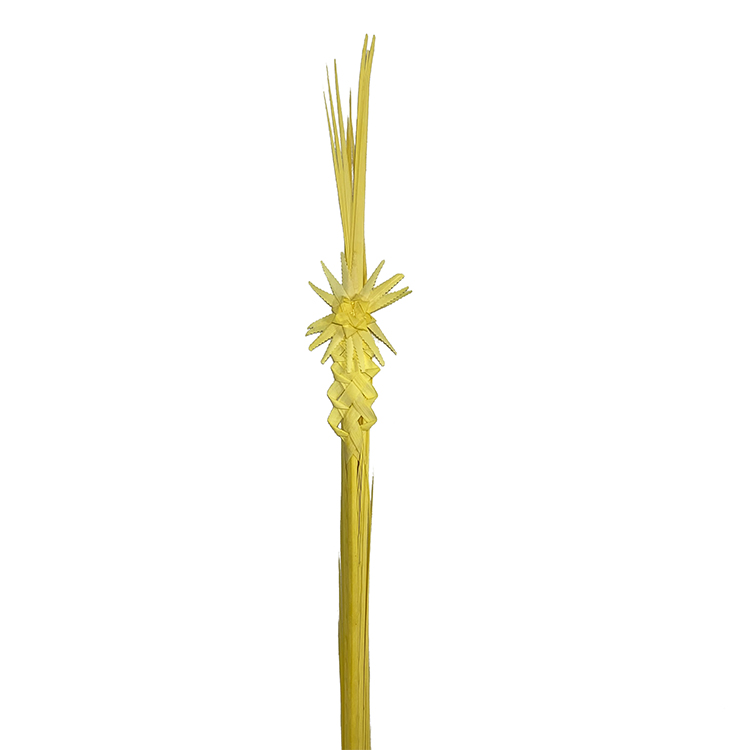Palma lisa con adorno Vara Mediana 100/140cm