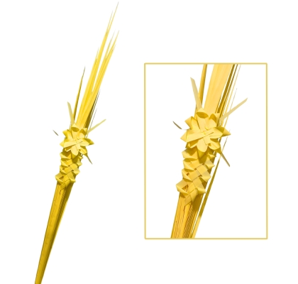 Palma Lisa adorno Vara Aaron 60/70cm