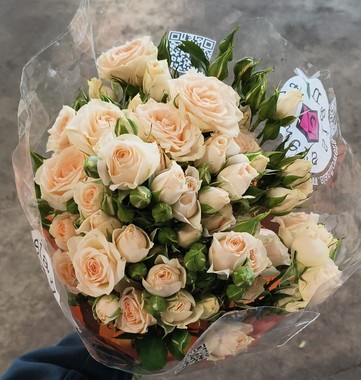 Ramificada Overig 70cm