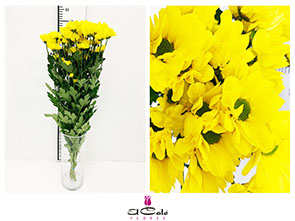 Margarita Hol. Bacardi Copa 75gr Am.