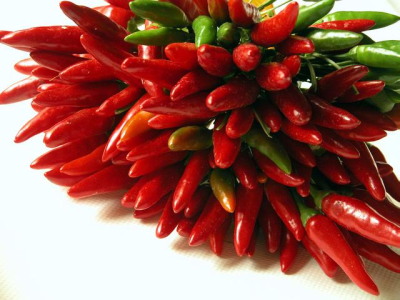 Pimientos/Cape Red Fire 45cm