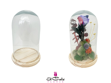 Cupula Classic 15x25Hcm "T6"