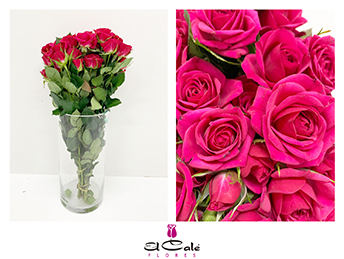 Ramificada Quincy 40cm Fux.