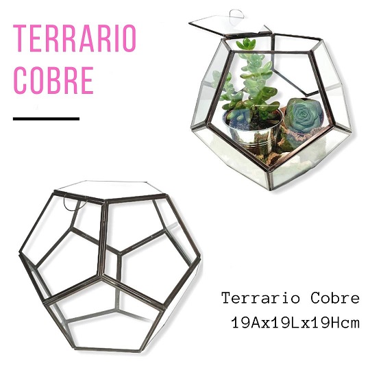 Terrario Cobre 19Ax19Lx19Hcm