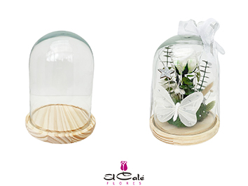Cupula Classic 15x20Hcm "T6"