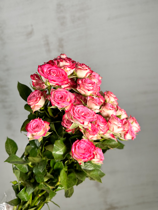 Ramificada Haley 40cm