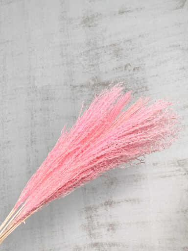 Eulalia Seco Rosa 70cm 100g