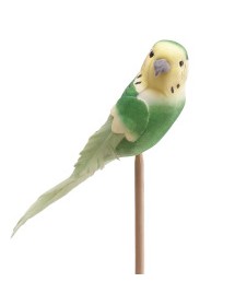 Pick Pajaro Coco Verde 14,5cm "T10"