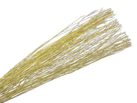 Ramaje White Lady Seco Amarillo 90cm (10 Tallos)