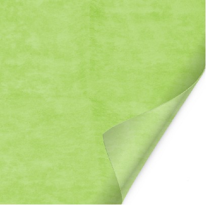 Lamina Nonwoven Verde 50x50cm (x200uds)