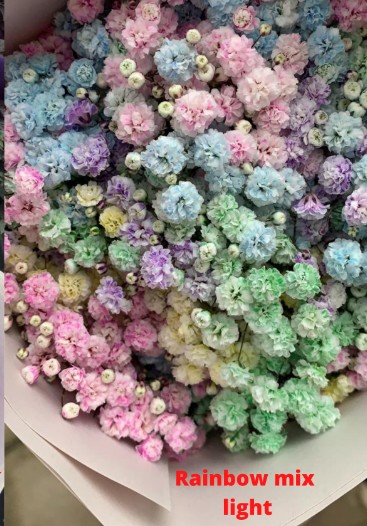 Paniculata Ecu. Rainbow Light 750gr "T25"