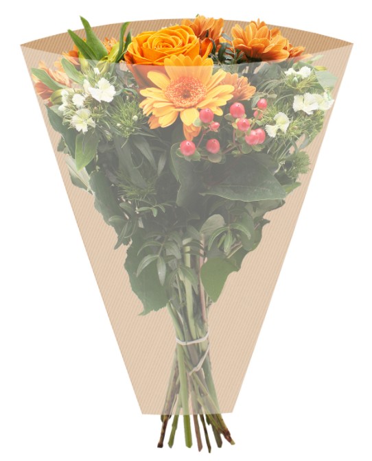 Funda Pure Basic 45x60Hcm (x50uds)