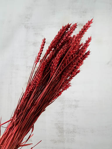 Trigo Seco Natural Rojo 70cm 150g