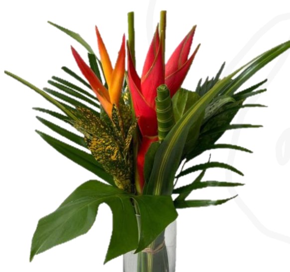 Buquet Redondo Amazon