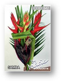 Buquet Magic Hanna Plus