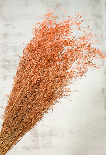 Munni Grass Nature Naranja 60cm 90g