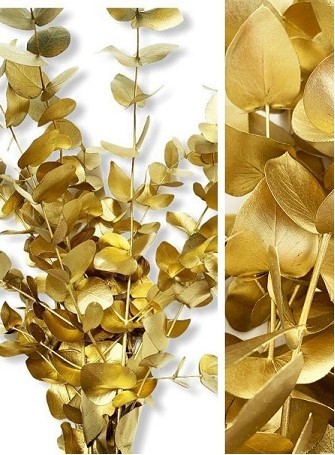 Eucalipto Cinerea Pintado "200gr" Oro