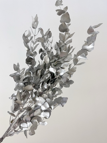 Eucalipto Cinerea Pintado "200gr" Plata Metal