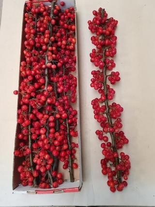 Malus Manzanitas Red Sentinel 90cm "CC5"
