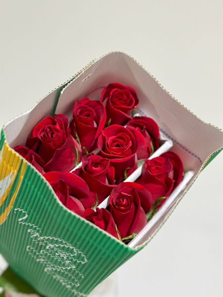 Rosa Col. Freedom 50cm "lley"