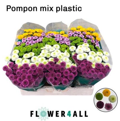 Santini Mixta Pom pom 1000gr "T25"