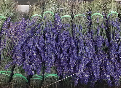Lavanda flor fresca 30cm Paq.