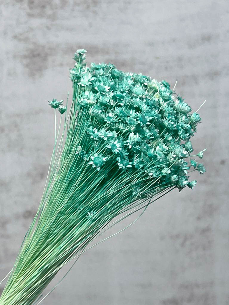 Glixia Seca Azul Claro 50cm 50g