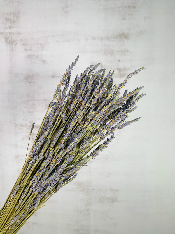 Lavanda Seca 50cm 150g