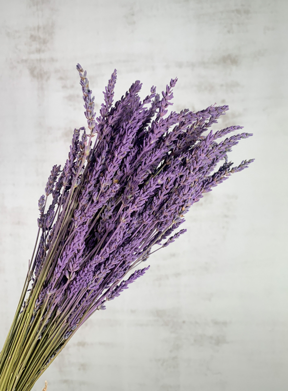 Lavanda Seca Pintada Purpura 50cm 150g