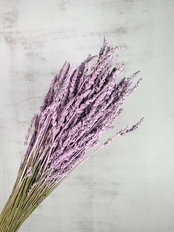 Lavanda Seca Pintada Lila 50cm 150g