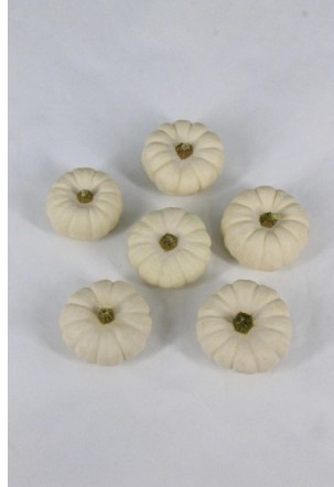 Calabazas Pepo baby Boo