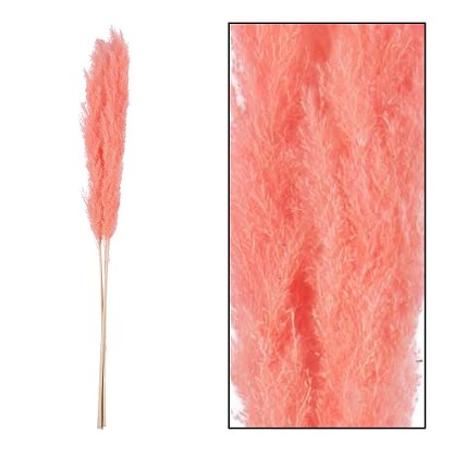 Plumas Pampa Jaxx Nature Seco Rosa 100-115cm (3 Tallos)