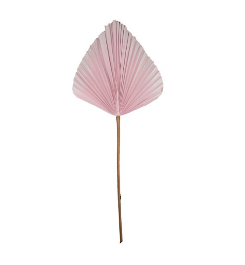 Hoja Palms Spear Grande Rosa 33x89Hcm