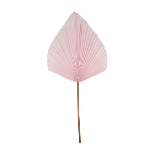 Hoja Palms Spear Grande Rosa 40Ax100Hcm