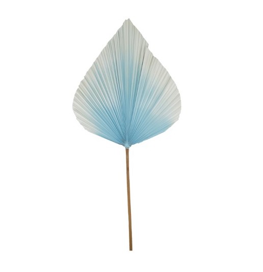 Hoja Palms Spear Grande Azul 40Ax100Hcm