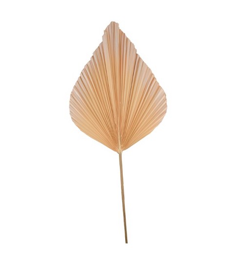 Hoja Palms Spear Grande Naranja 40x100Hcm