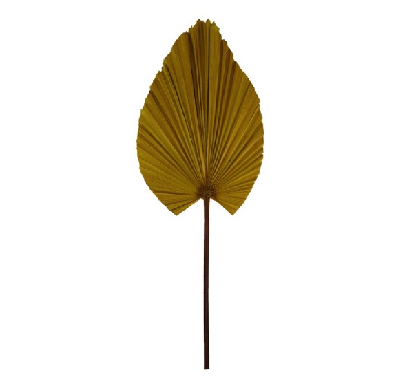 Hoja Palms Spear Grande Ocre 30Ax90Hcm