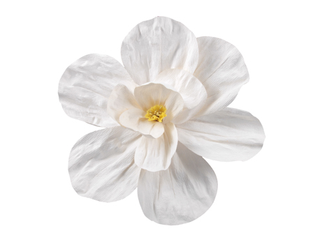 Flor de Papel Blanca 50cm