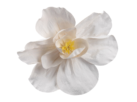 Flor de Papel Blanca 27cm