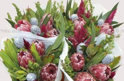 Safari Buquet 3 Proteas 40cm