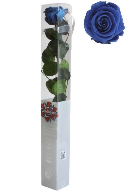 Rosa Preservada Verdissimo Azul Oscuro 5.5x55Hcm