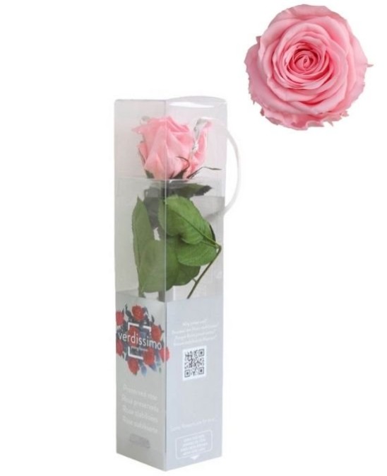 Rosa Preservada Verdissimo Rosa Claro 4x27.5Hcm