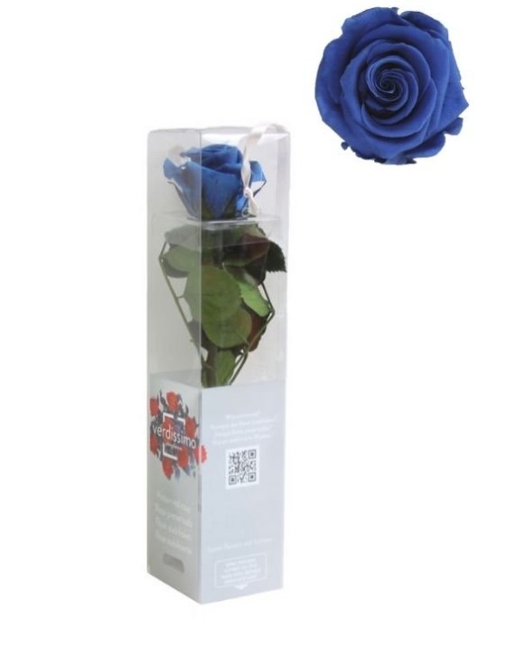 Rosa Preservada Verdissimo Azul Oscuro 4x27.5Hcm