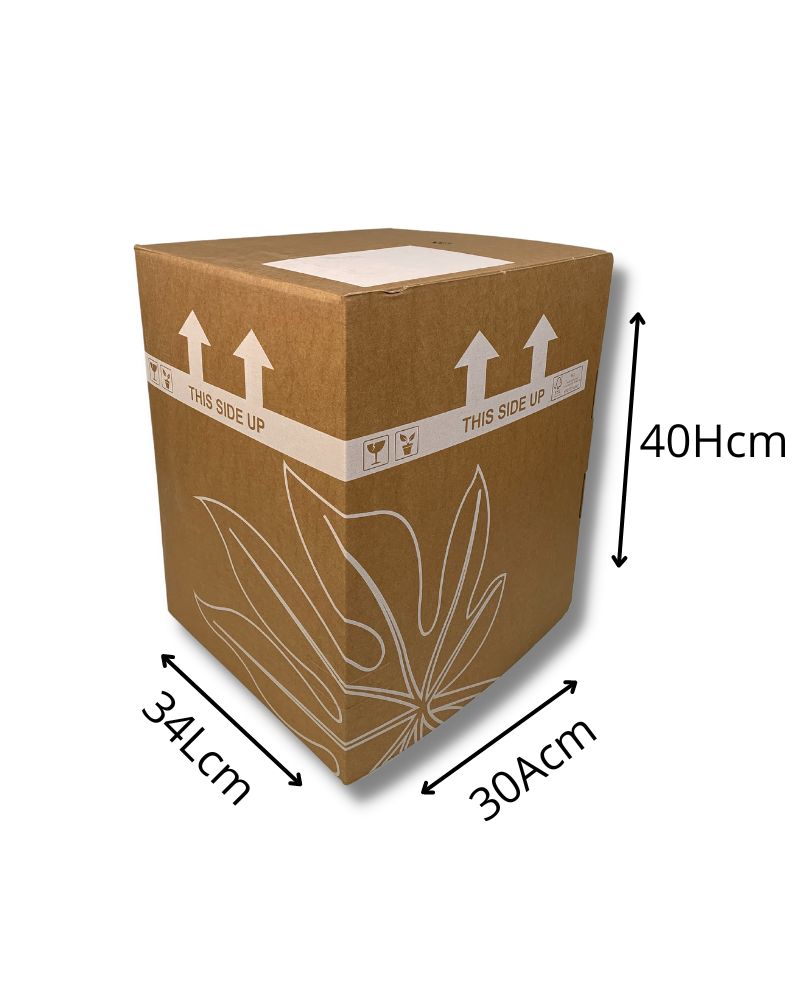Caja Para Envio Nº1 30Ax34Lx40Hcm (x5uds)