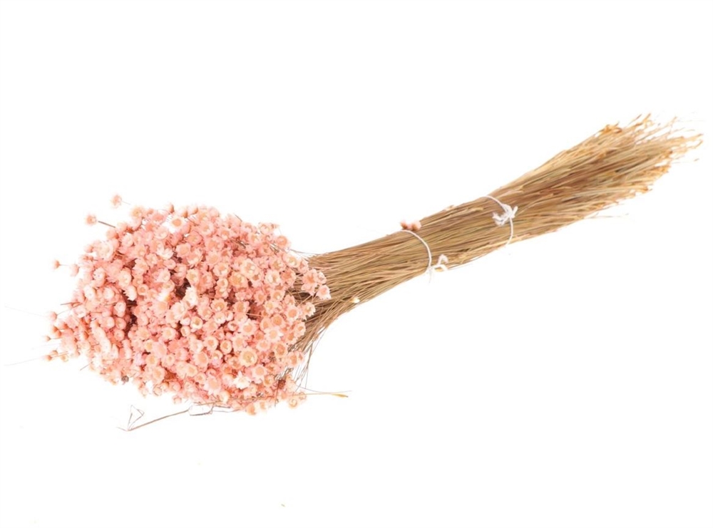 Glixia Seca Rosa Claro 80g